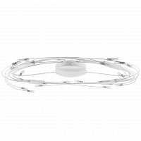потолочный светильник lightstar ovale 784246 в Пскове