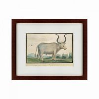 картина: cape ox, 1778 в Пскове