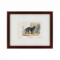 картина: a caracal or lynx, 1830 в Пскове