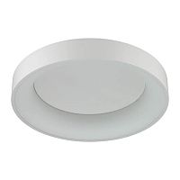 потолочный светодиодный светильник odeon light sole 4062/50cl в Пскове