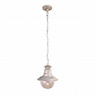 уличный подвесной светильник arte lamp amsterdam a1523so-1wg в Пскове